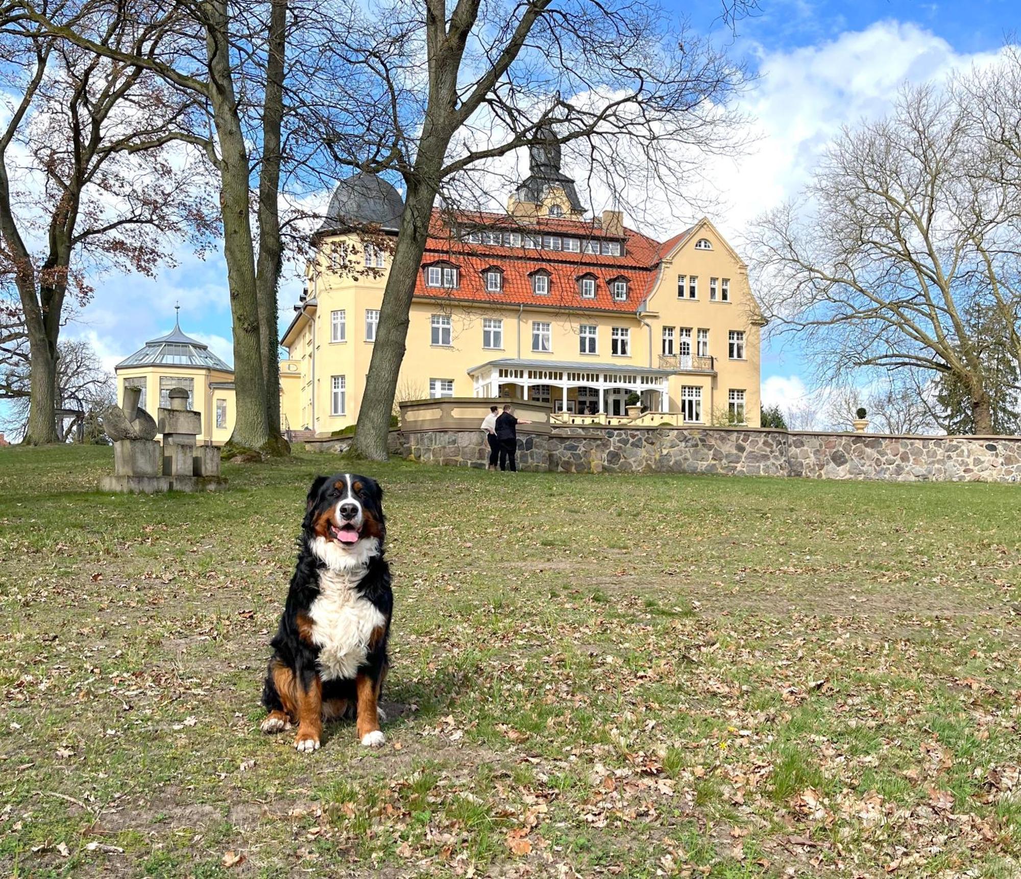 Bernsteinschloss Wendorf  Экстерьер фото